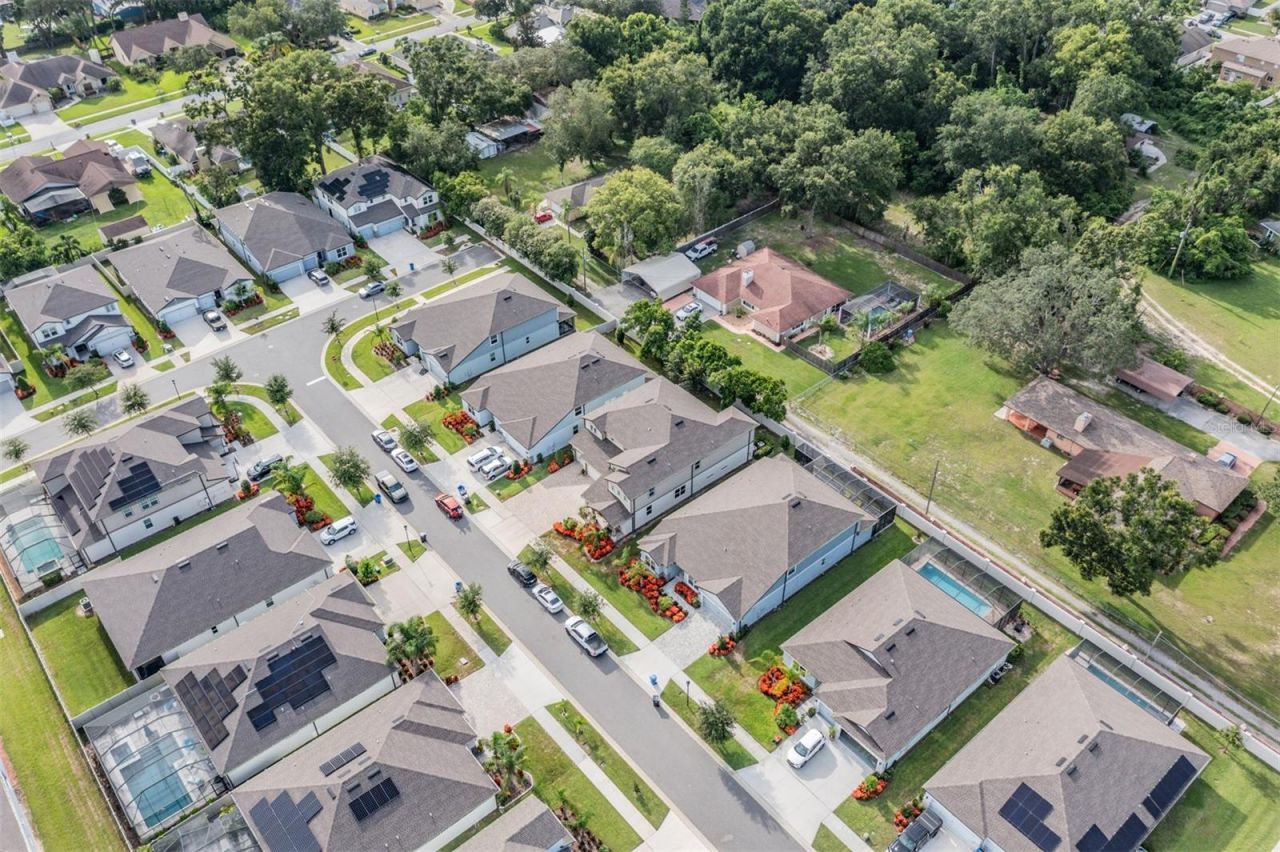 2836 Buckhorn Forest Drive, Valrico, FL 33594 Photo