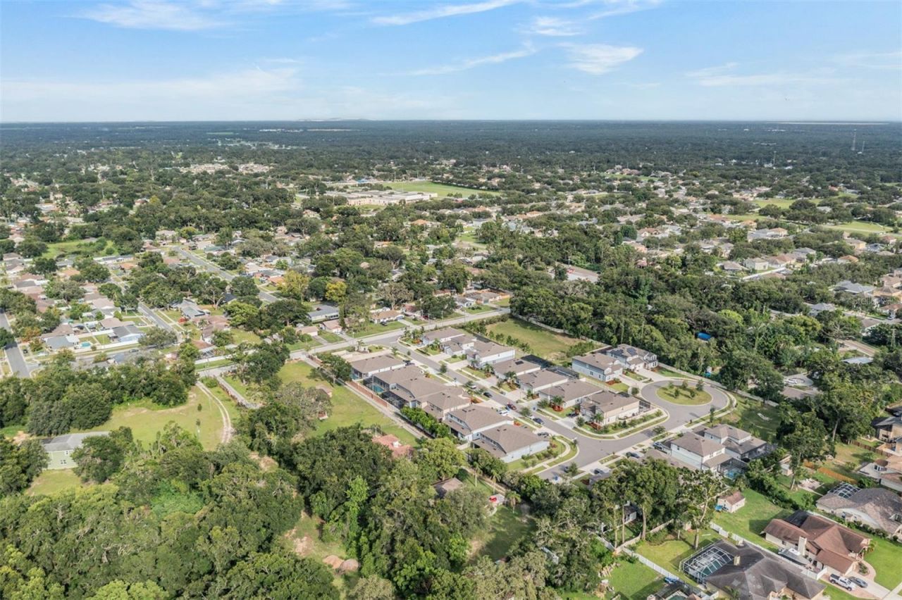 2836 Buckhorn Forest Drive, Valrico, FL 33594 Photo