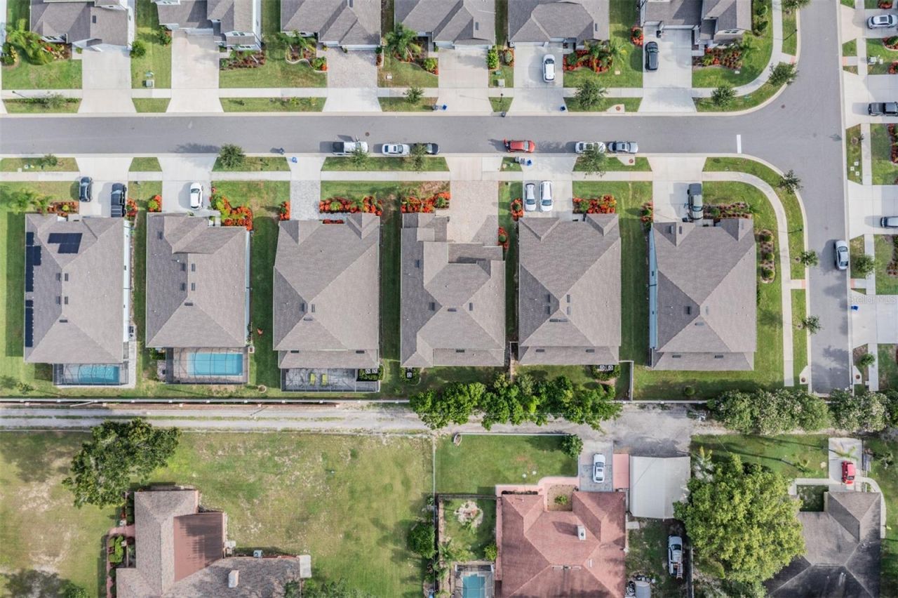 2836 Buckhorn Forest Drive, Valrico, FL 33594 Photo