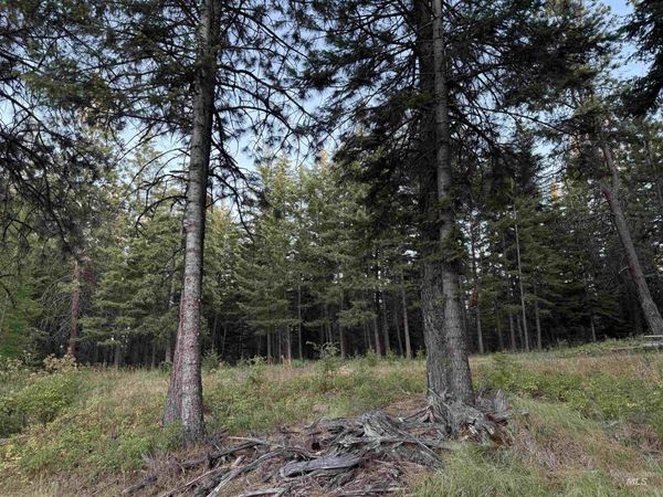 TBD Harlow Ridge Rd - Cloverland Estates 26, Asotin, WA 99402