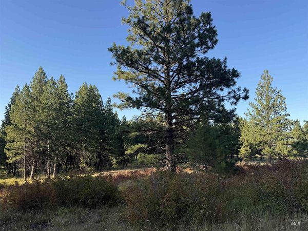 TBD Harlow Ridge Rd - Cloverland Estates 26, Asotin, WA 99402