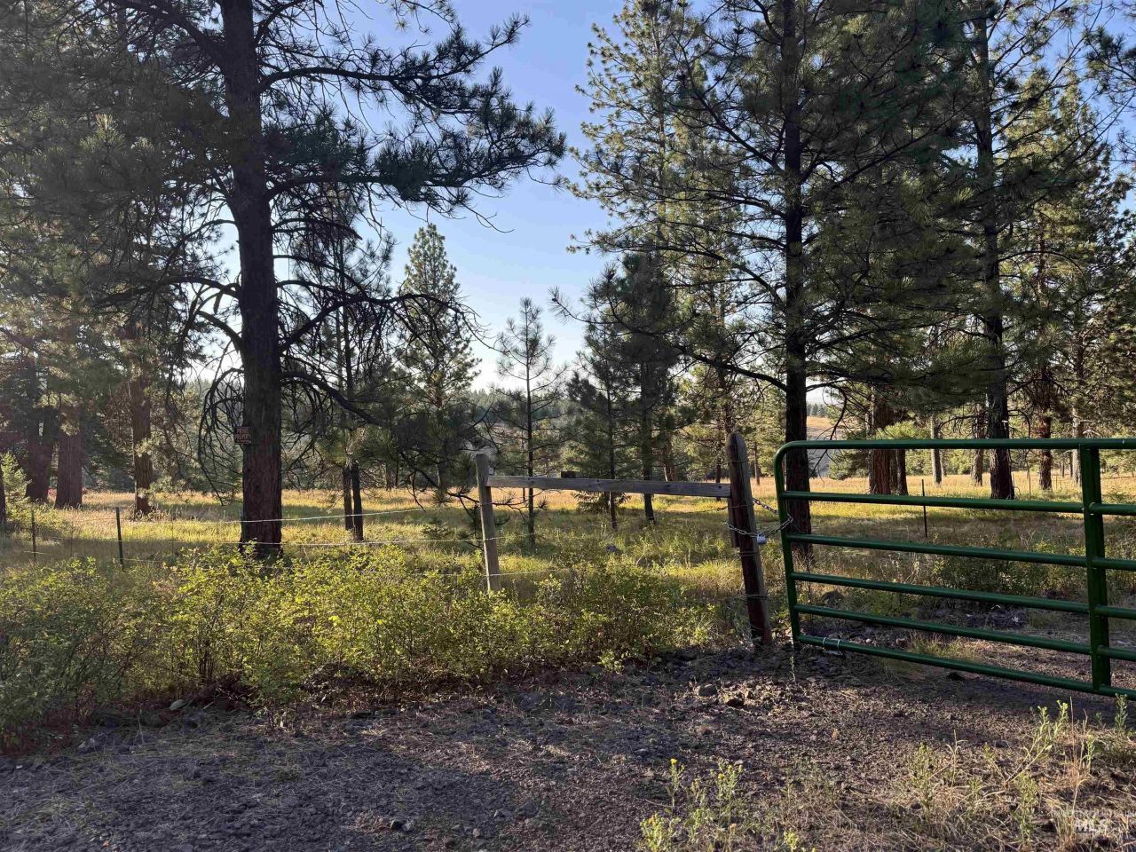 Tbd Harlow Ridge Rd - Cloverland Estates 36, Asotin, WA 99402 Main Photo