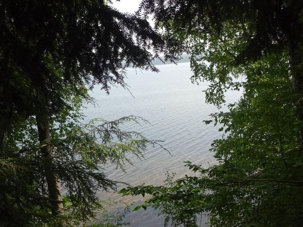 TBD Autrain Forest Lake Road, Au Train Twp, MI 49806