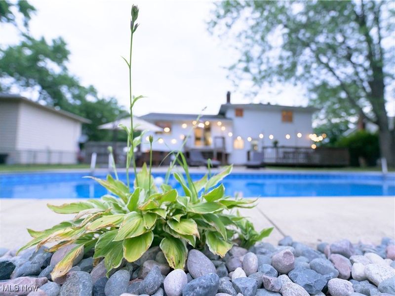 8902 Lincolnshire Boulevard, Strongsville, OH 44149 Photo 23