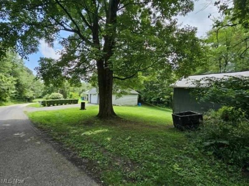 91510 Amos Road, Scio, OH 43988 Photo 4