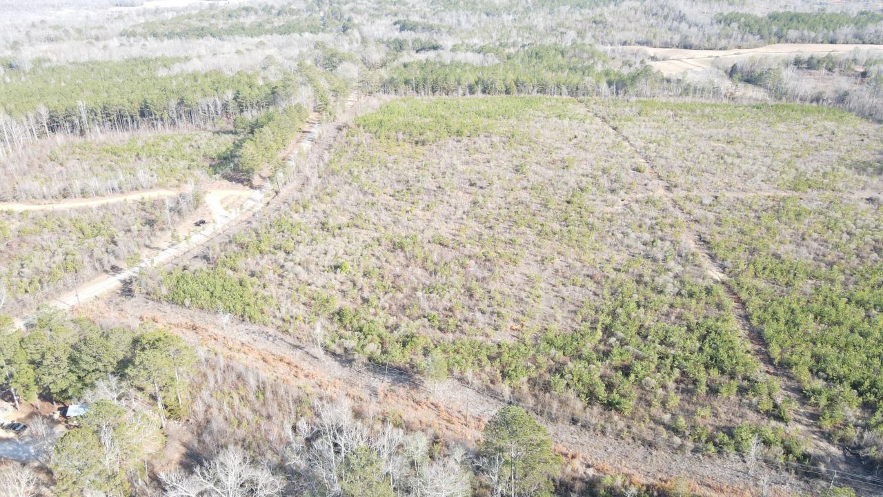 Lot 5 Springhill Rd, Millport, AL 35576 Main Photo