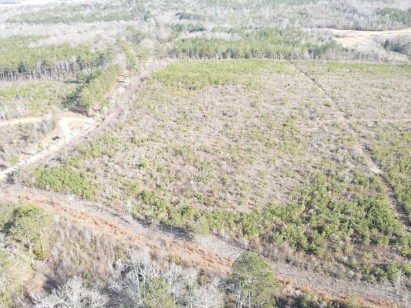 Lot 5 Springhill Rd, Millport, AL 35576