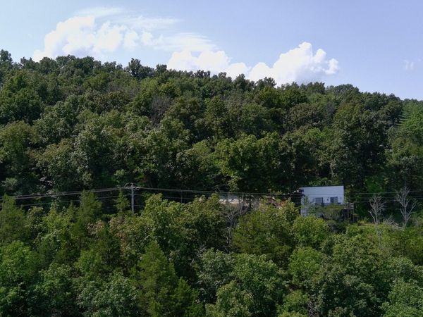 109 Cottage Lane, Cape Fair, MO 65624