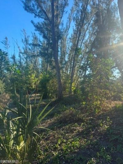 3666 Stabile Rd, Other, FL 33956 Photo