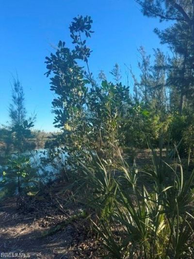 3666 Stabile Rd, Other, FL 33956 Photo