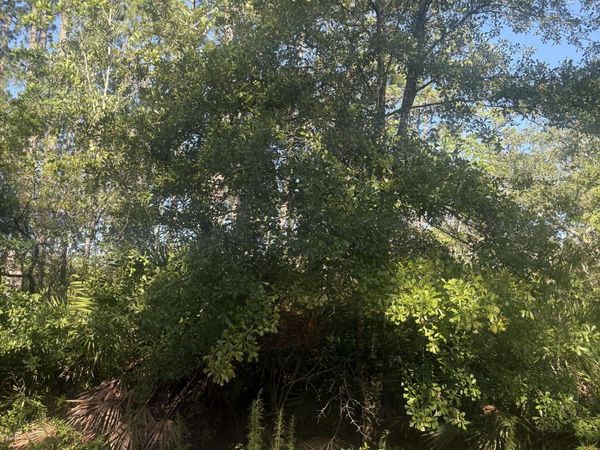 115 HOUSTON Street, Interlachen, FL 32148