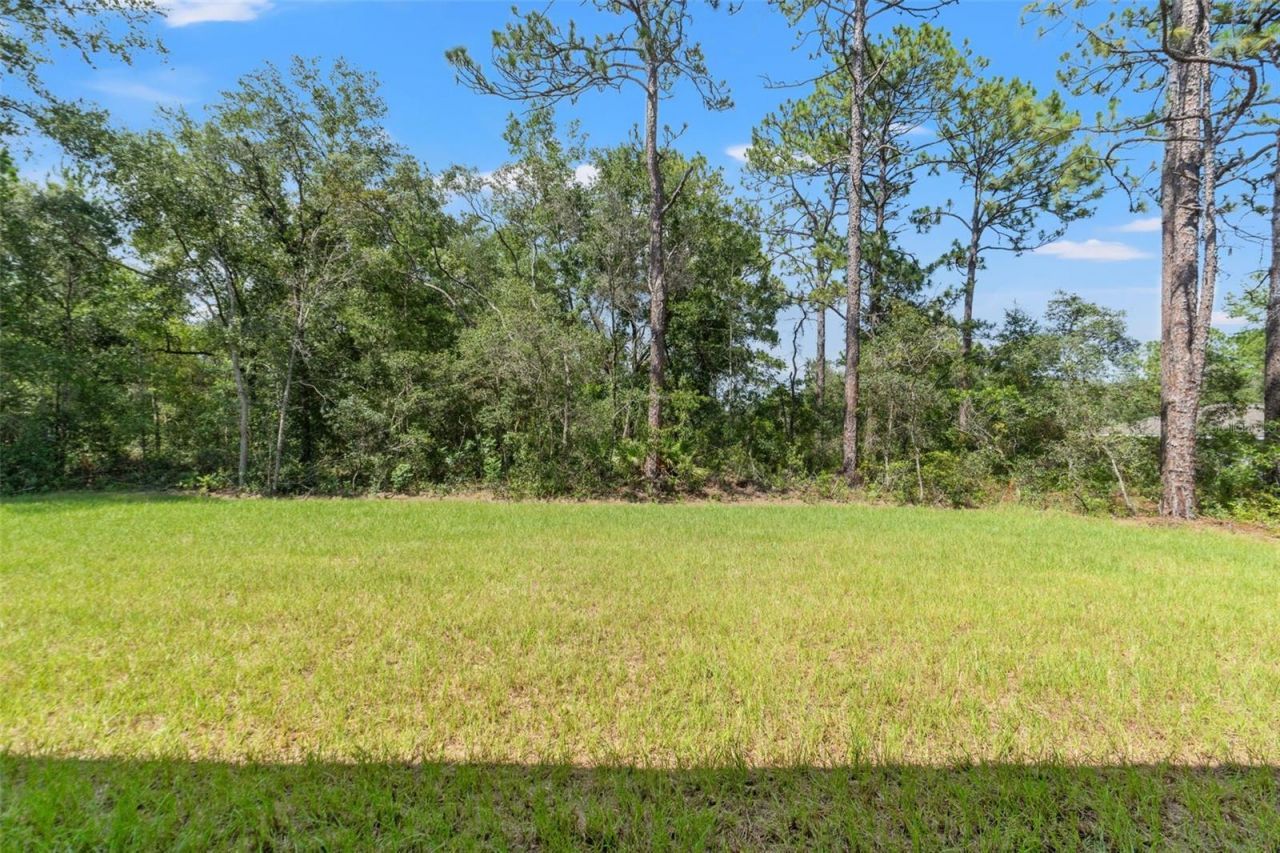 3015 W Juliet Place, Citrus Springs, FL 34433 Photo