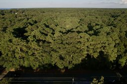 01 Boatswain Court photo 4