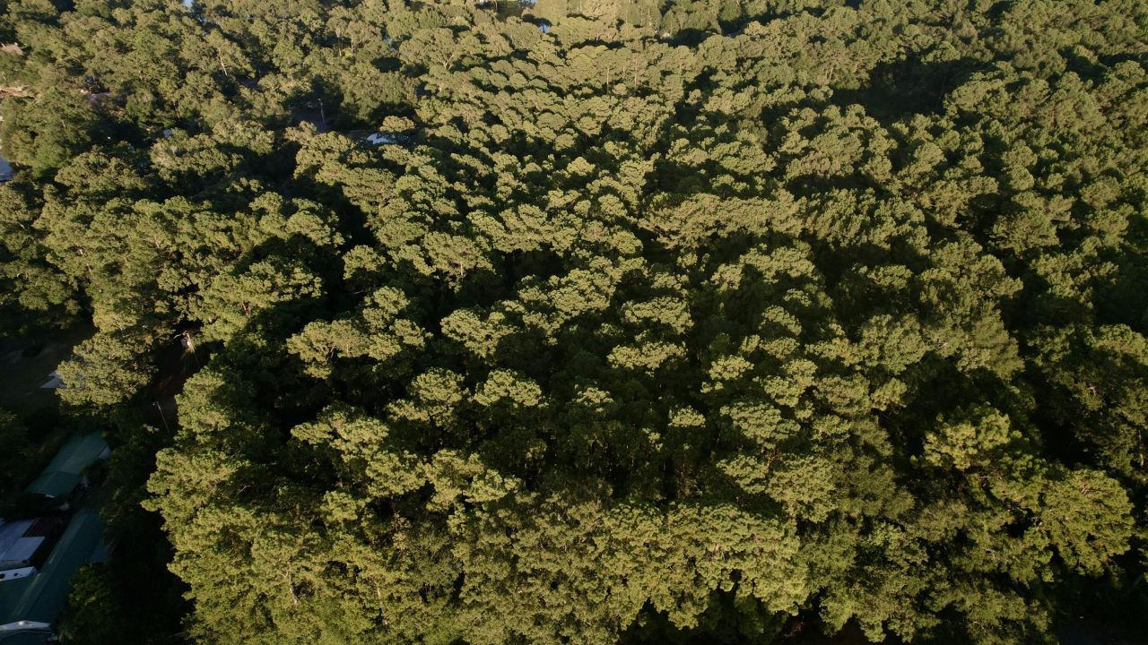 01 Boatswain Court Photo 3