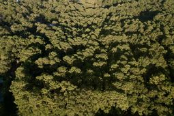 01 Boatswain Court photo 4