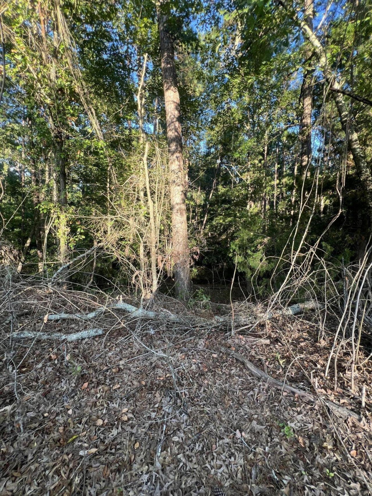 01 Boatswain Court Photo 5