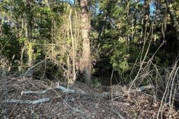 01 Boatswain Court photo 4