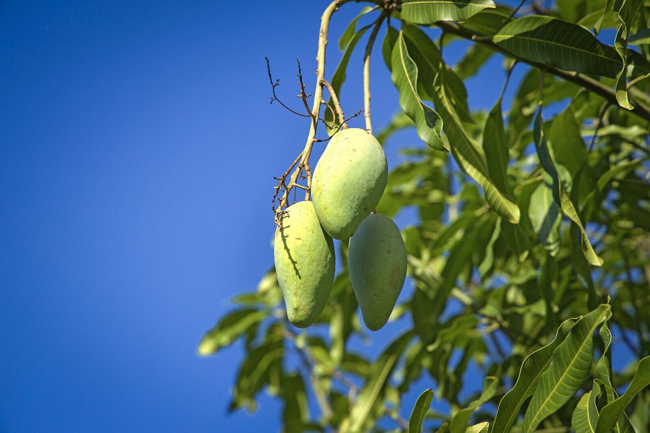 3057 D Road, Loxahatchee Groves, FL 33470 Photo