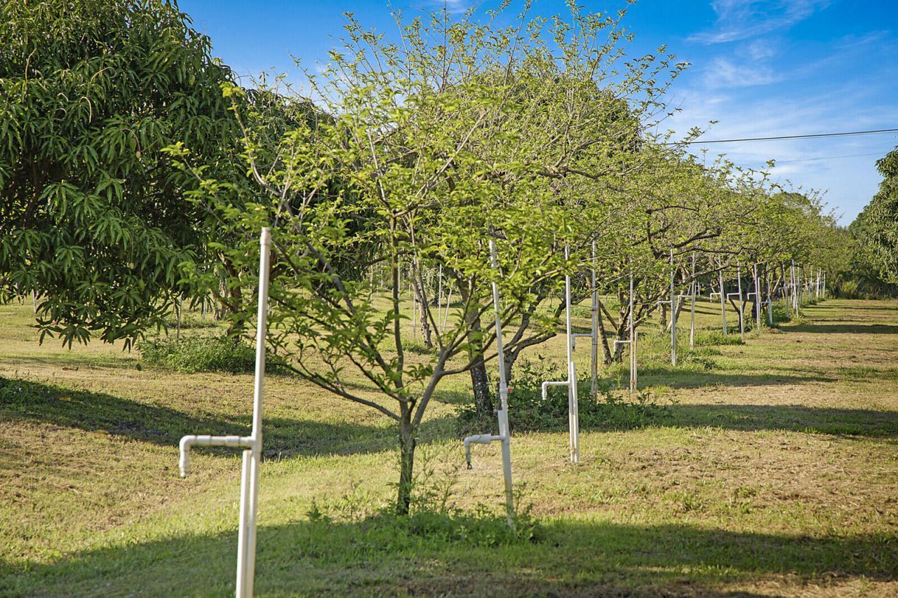 3057 D Road, Loxahatchee Groves, FL 33470 Photo