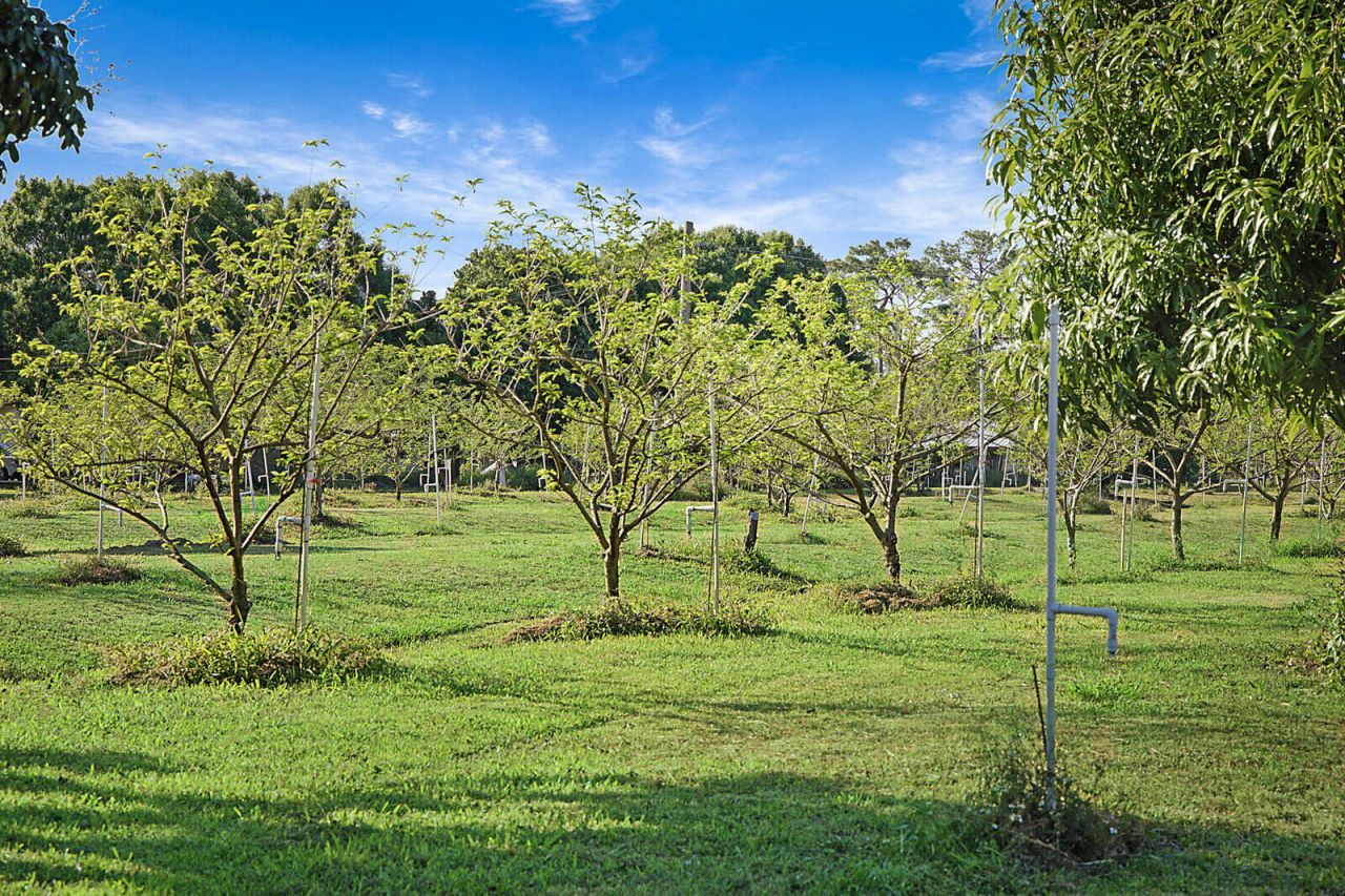 3057 D Road, Loxahatchee Groves, FL 33470 Photo