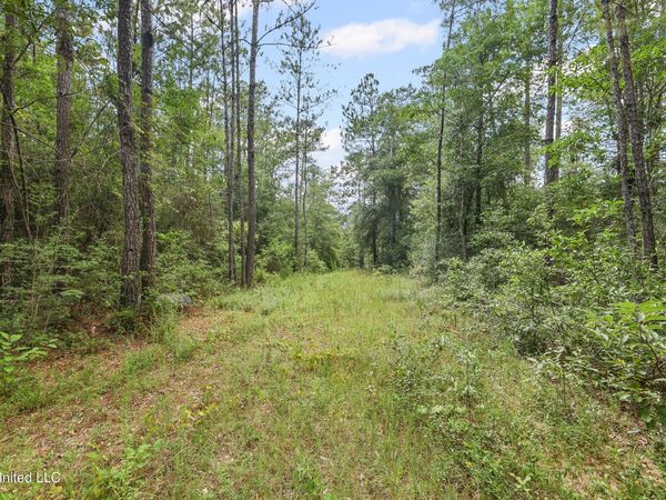 0 Yankee Town Road, Saucier, MS 39574
