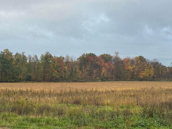 0 Lampson Road, Austinburg, OH 44010