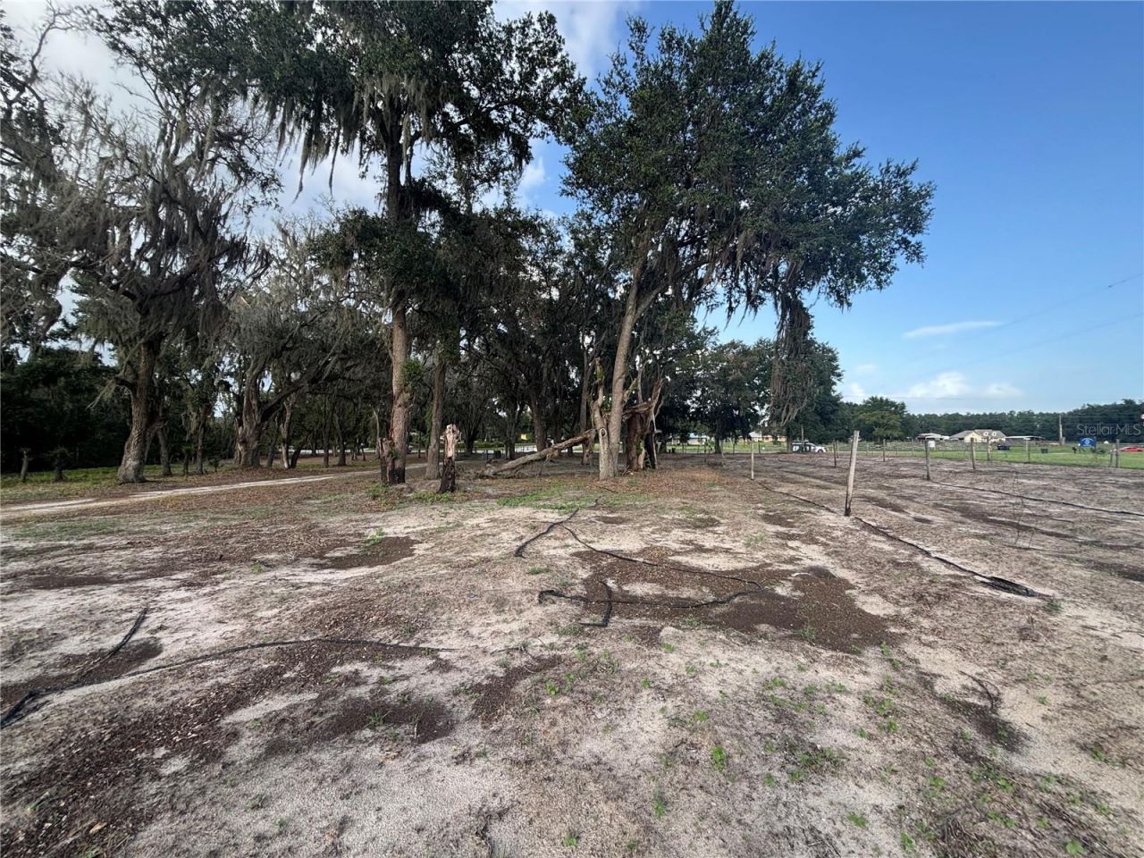 7117 S County Line Road, Plant City, FL 33567 Photo