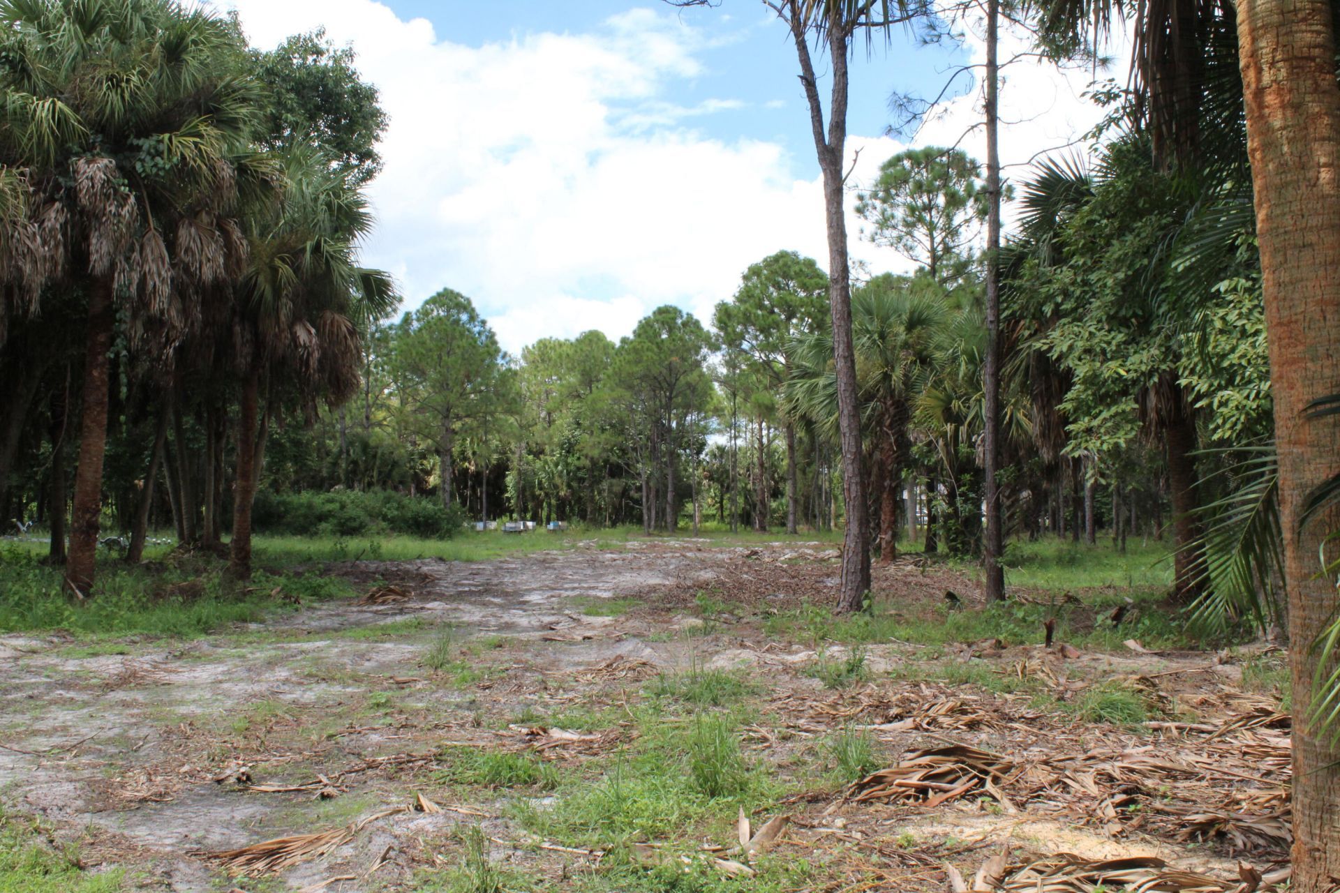 1275 Arabian Drive, Loxahatchee, FL 33470 Photo