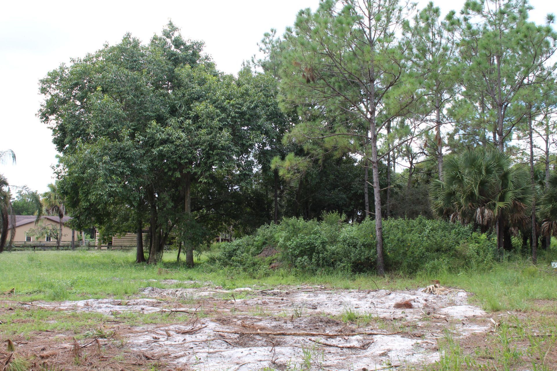 1275 Arabian Drive, Loxahatchee, FL 33470 Photo