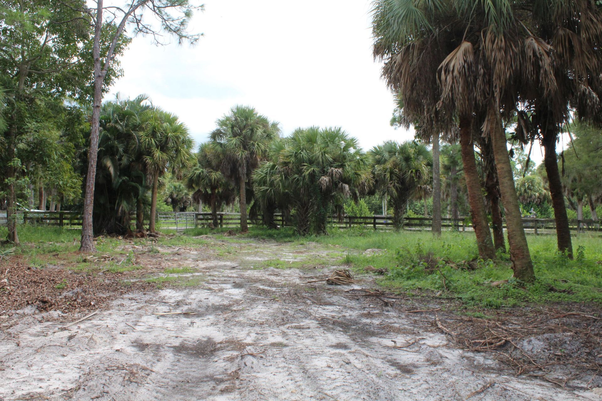 1275 Arabian Drive, Loxahatchee, FL 33470 Photo