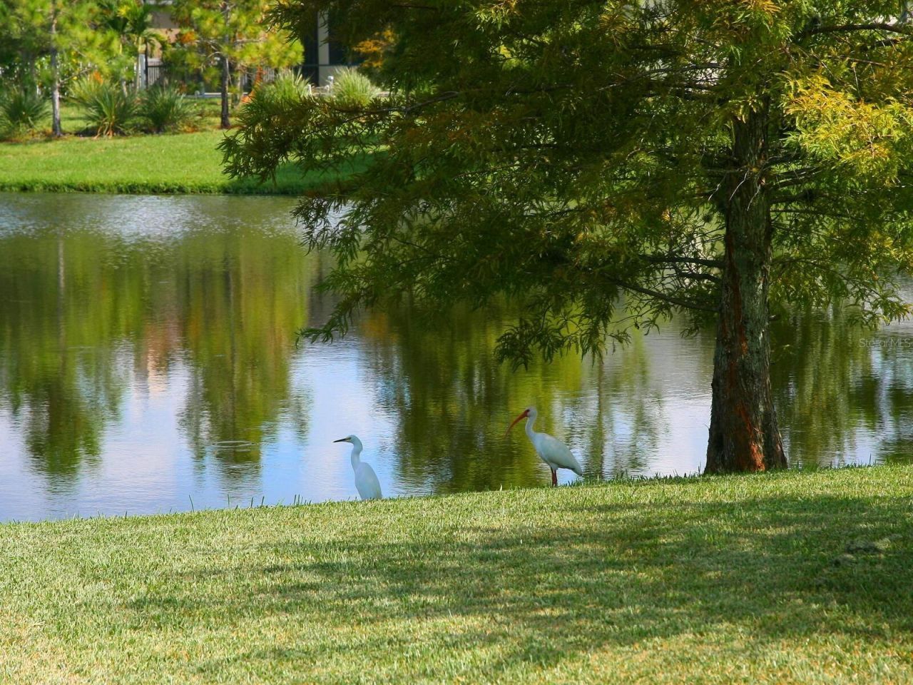 6404 Royal Tern Circle, Lakewood Ranch, FL 34202 Photo