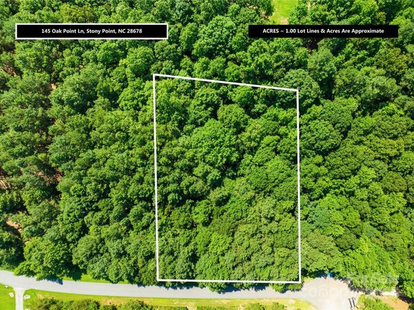 145 Oak Point Lane, Stony Point, NC 27028