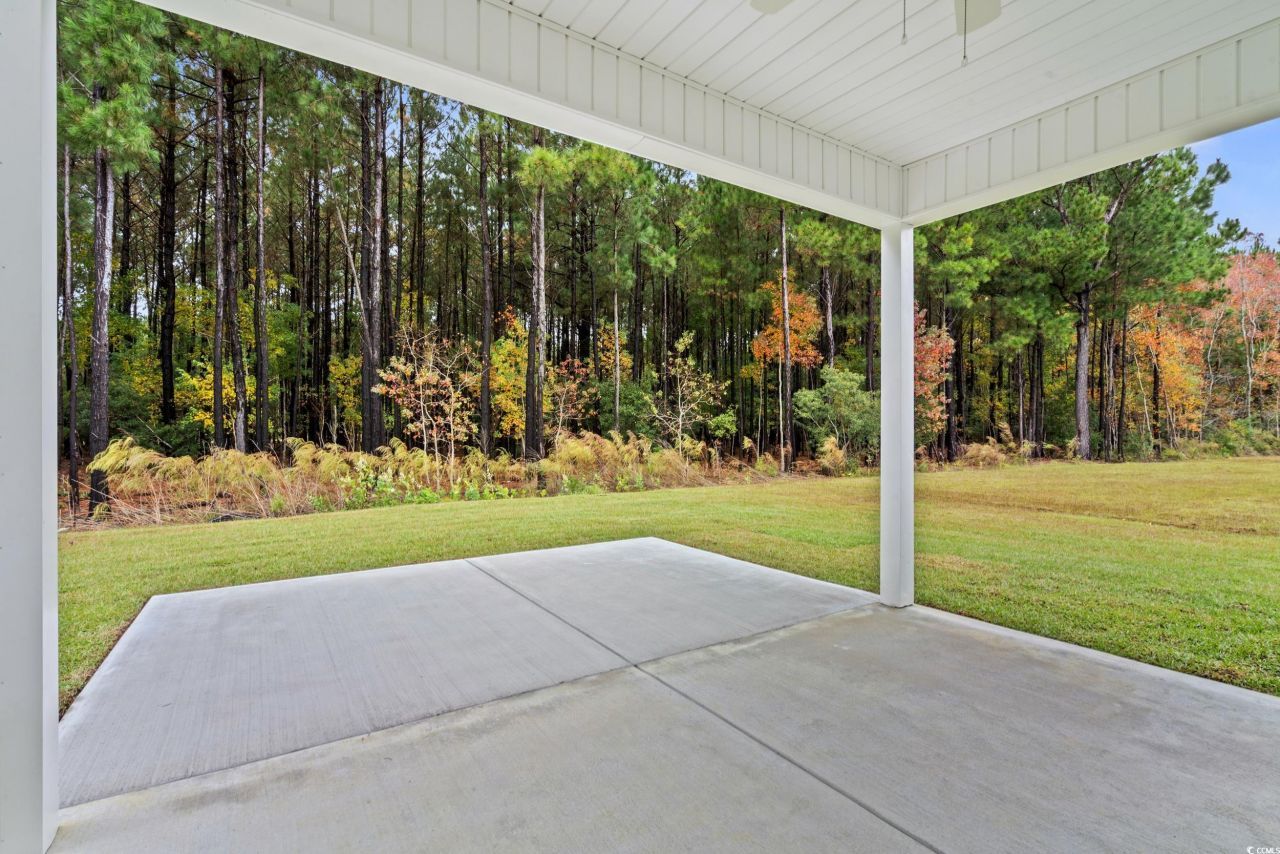 144 Double Pond Dr Photo 22