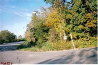 53 Highway E (vererans Dr) Drive, De Soto, MO 63020 Main Photo