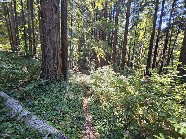 LOT27 Old La Honda Rd, Woodside, CA 94062