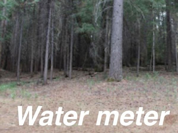 5511 Shooting Star Rd, Pollock Pines, CA 95726