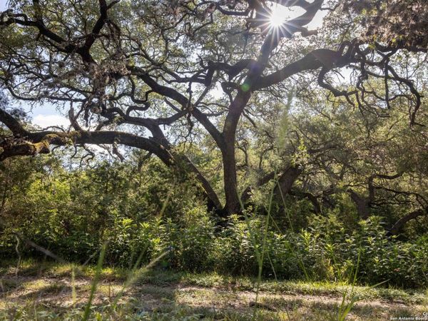 7622 Ramble, San Antonio, TX 78266