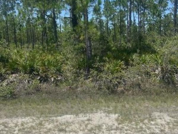1018 CALENDULA DRIVE, INDIAN LAKE ESTATES, FL 33855