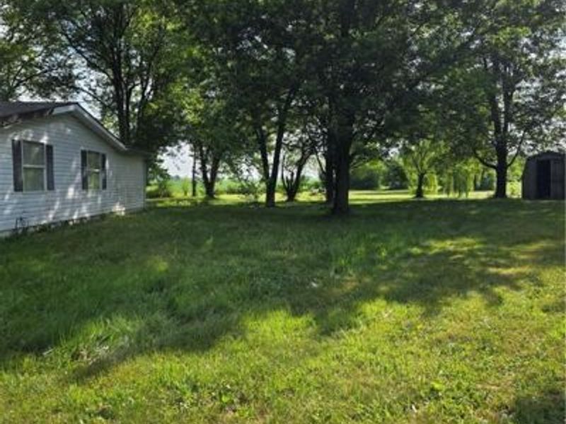 11968 Arling Road, Anna, OH 45302 Photo 39