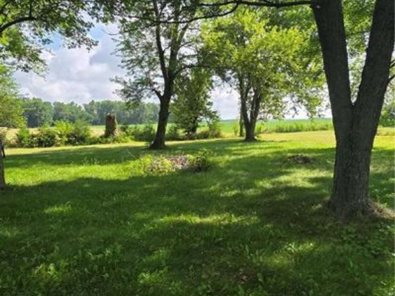 11968 Arling Road, Anna, OH 45302 Photo 8