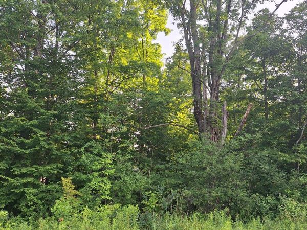 00 14 Mile Rd, Leroy, MI 49655