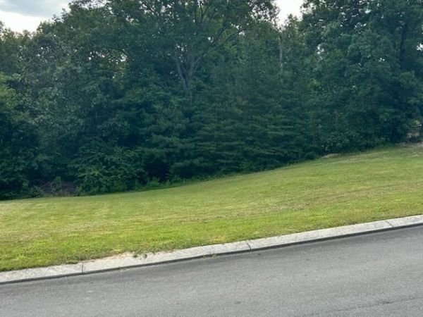 0 Fieldstone Drive, Tunnel Hill, GA 30755