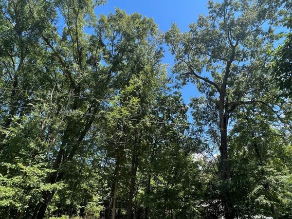 0 Playground Lane, Salisbury, NC 28146