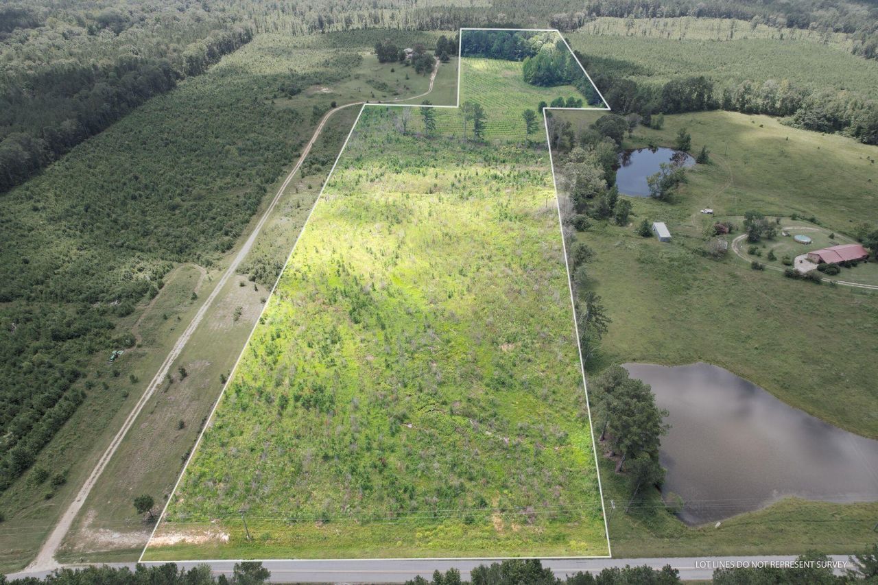 00 Scr 504, Louin, MS 39338 Main Photo