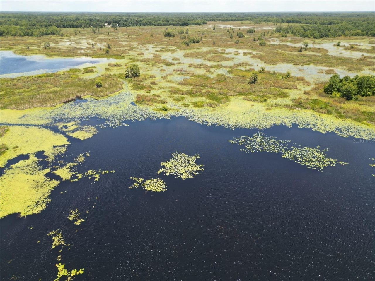 8781 S Lakeshore Drive, Floral City, FL 34436 Photo