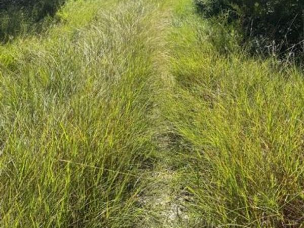 1156 Ridge Drive S, Cleburne, TX 76033