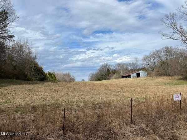 207 Wallace Drive, Coldwater, MS 38618