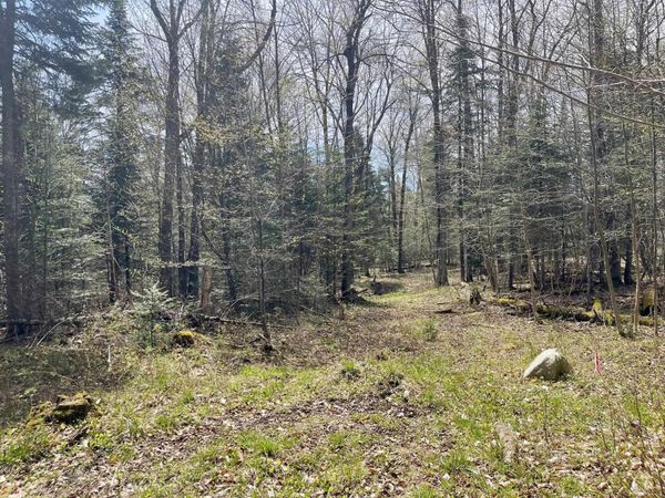 00 Peene Hill Road, Westmore, VT 05822