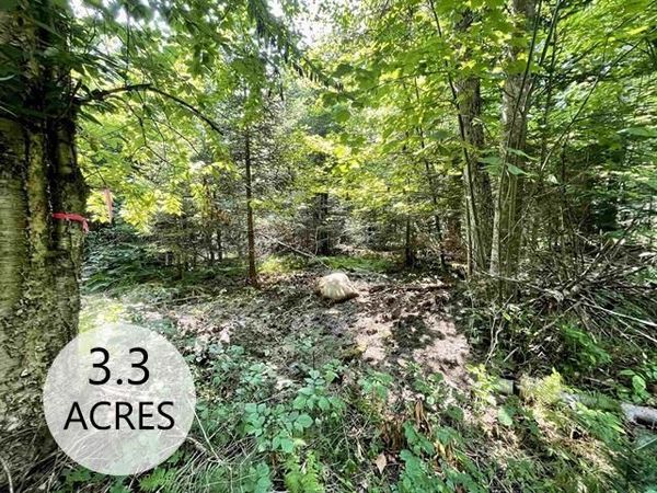 00 Peene Hill Road, Westmore, VT 05822