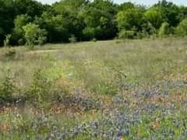 35 Longview Creek Trail, Itasca, TX 76055